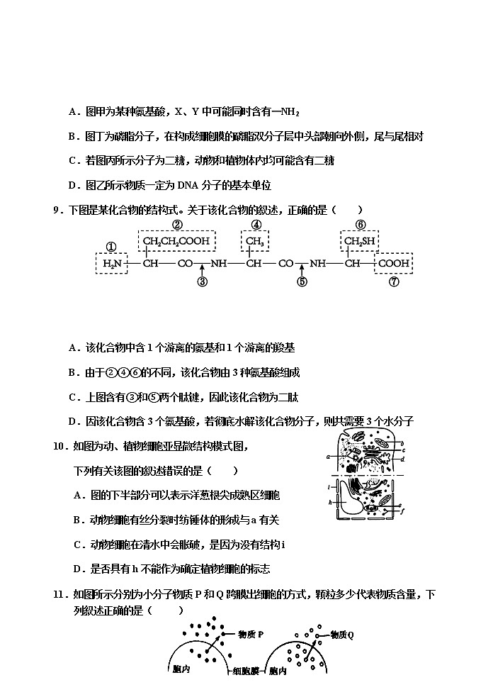 2021天津市六校高一上学期期末联考生物试卷含答案03