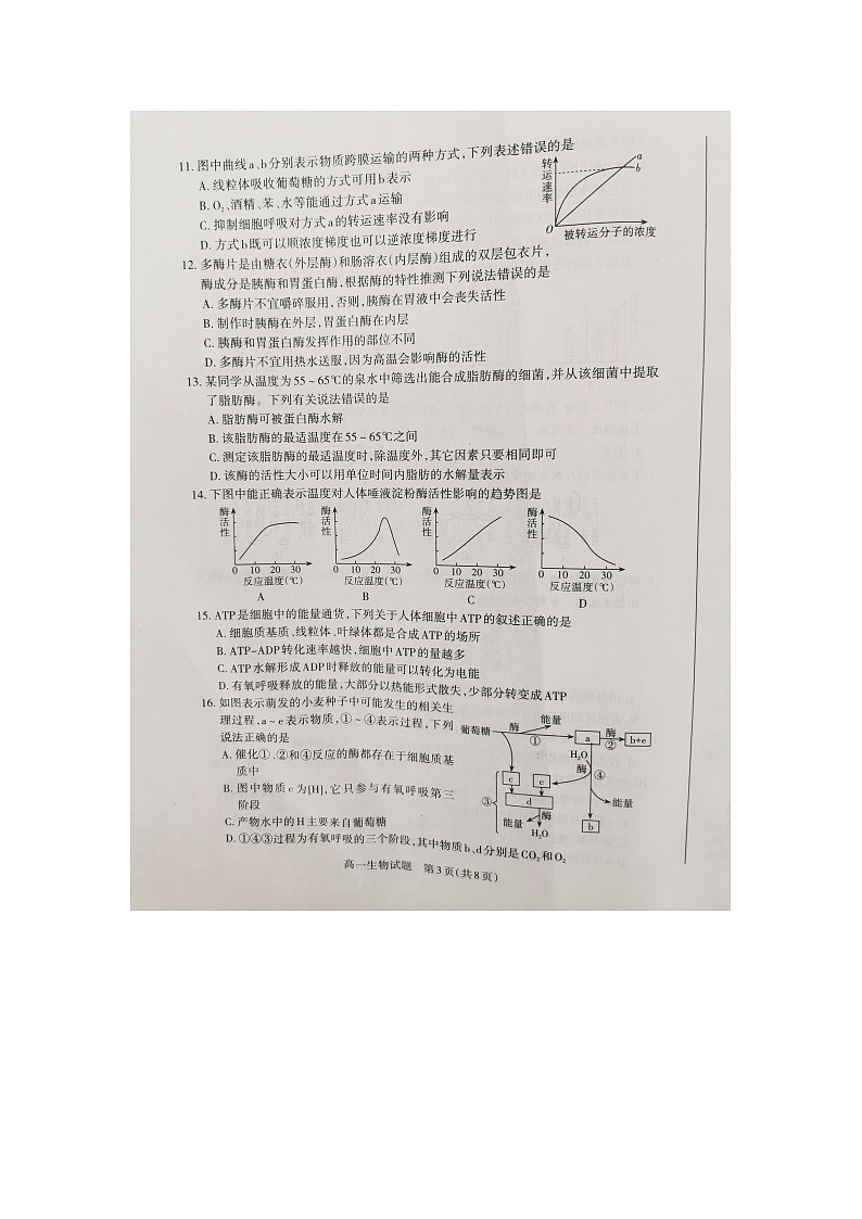 2021山西省高一上学期期末考试生物试题图片版含答案03