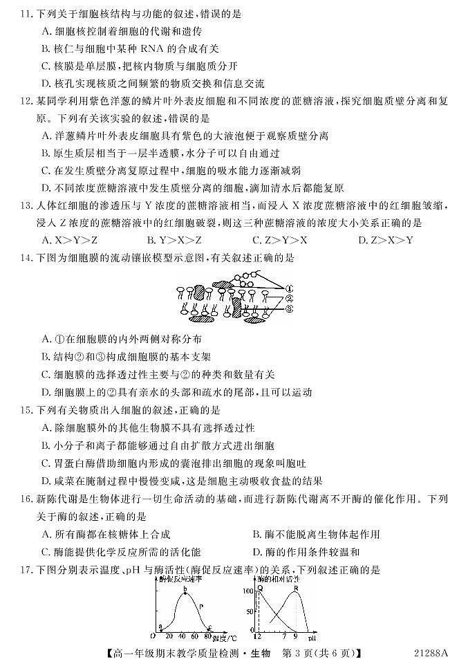 2021河池高一上学期期末生物试题PDF版含答案03