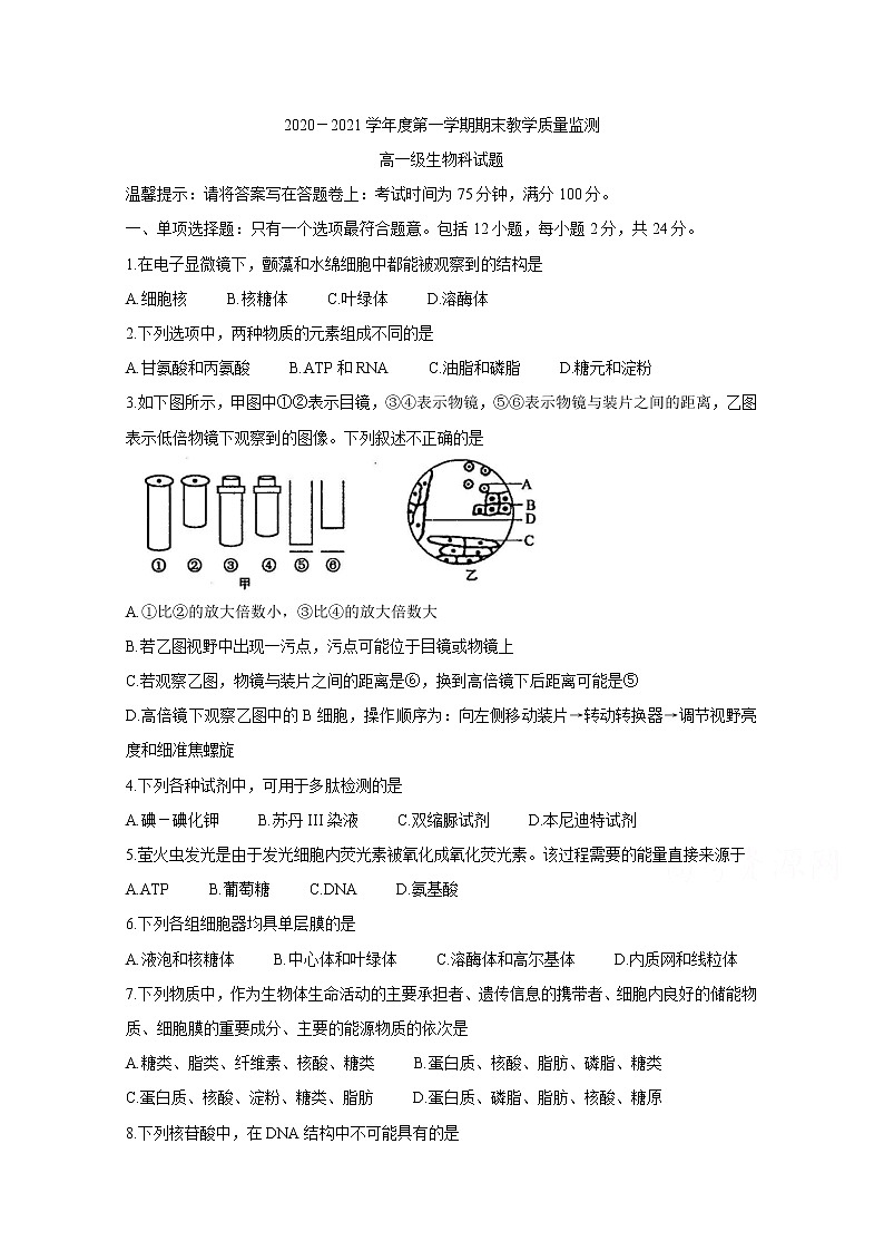 2021揭阳揭东县高一上学期期末考试生物含答案第1页