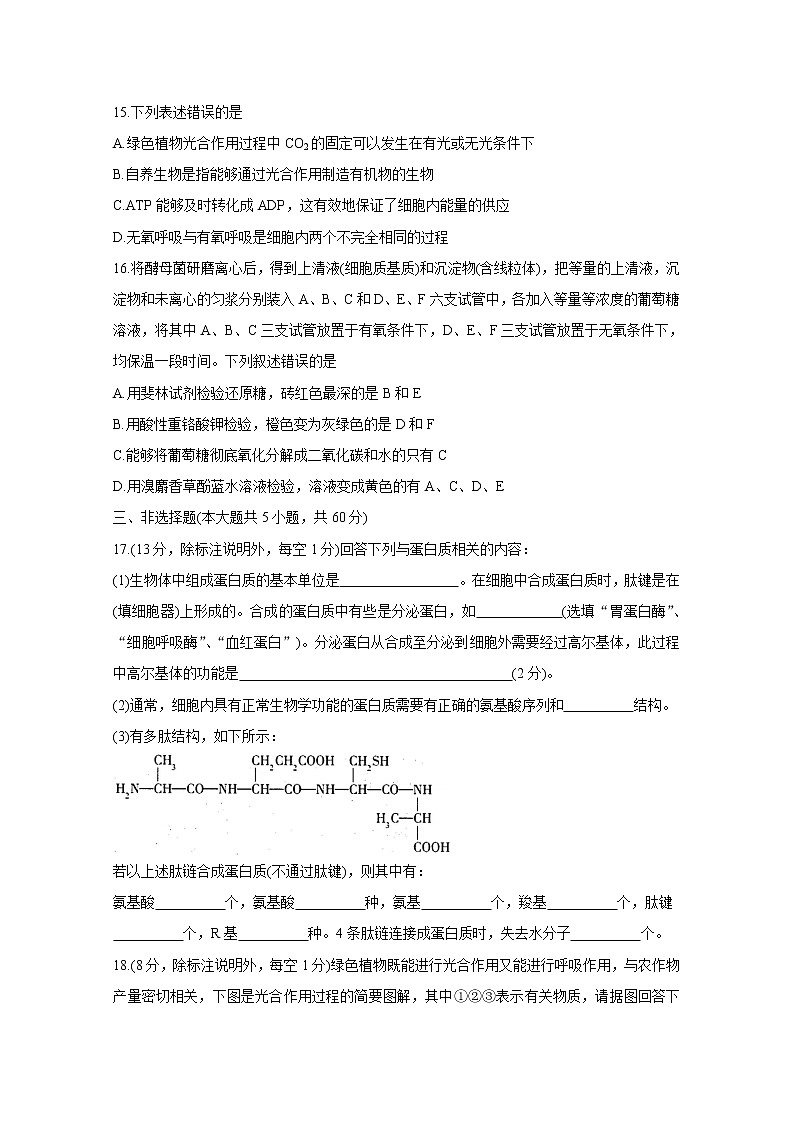 2021揭阳揭东县高一上学期期末考试生物含答案第3页