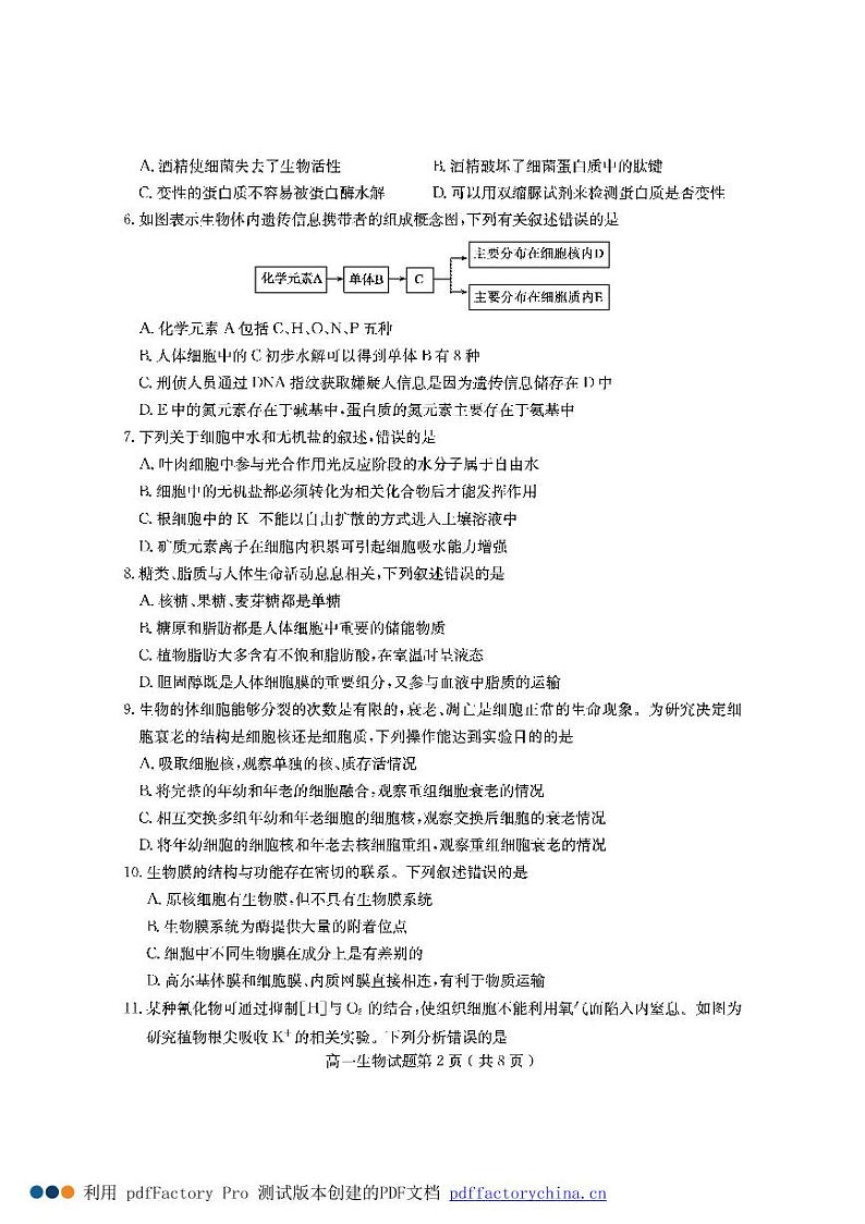 2021济宁高一上学期期末考试生物试题PDF版含答案02
