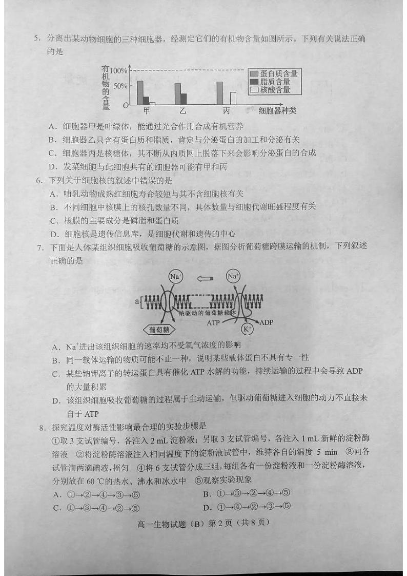 2021菏泽（二中系列学校）高一上学期期末考试生物试题（B）扫描版含答案02
