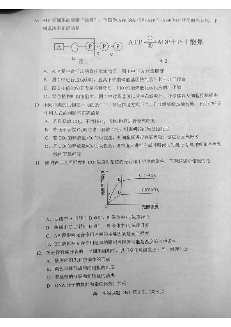 2021菏泽（二中系列学校）高一上学期期末考试生物试题（B）扫描版含答案03