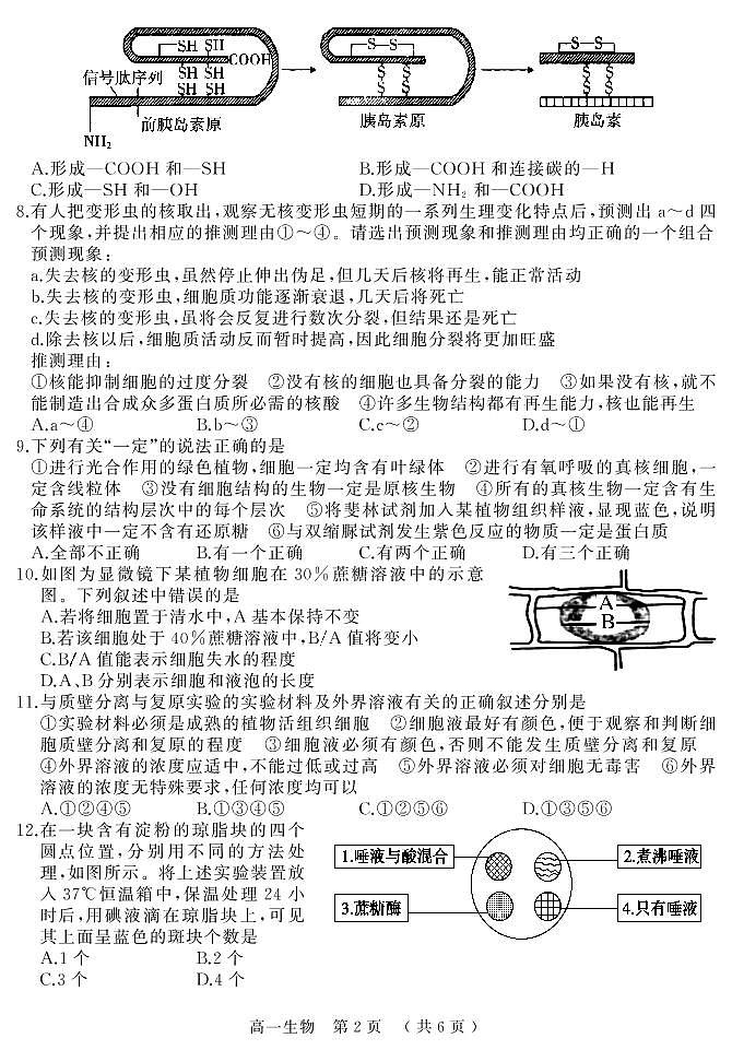 2021驻马店高一上学期期终考试生物试题PDF版含答案02