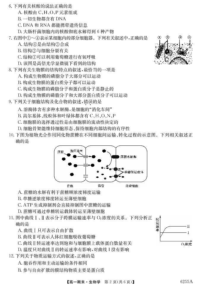 云南省陆良县中枢镇第二中学2020-2021学年高一上学期期末考试生物试题（PDF可编辑版）第2页