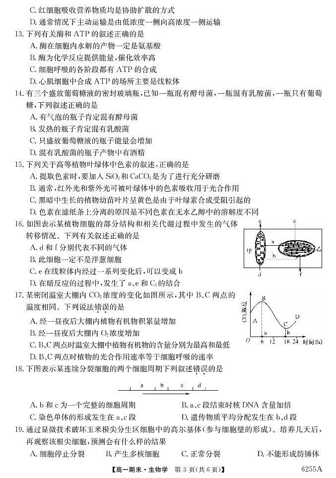 云南省陆良县中枢镇第二中学2020-2021学年高一上学期期末考试生物试题（PDF可编辑版）第3页