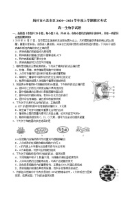 2021荆州六县区高一上学期期末考试生物试题含答案