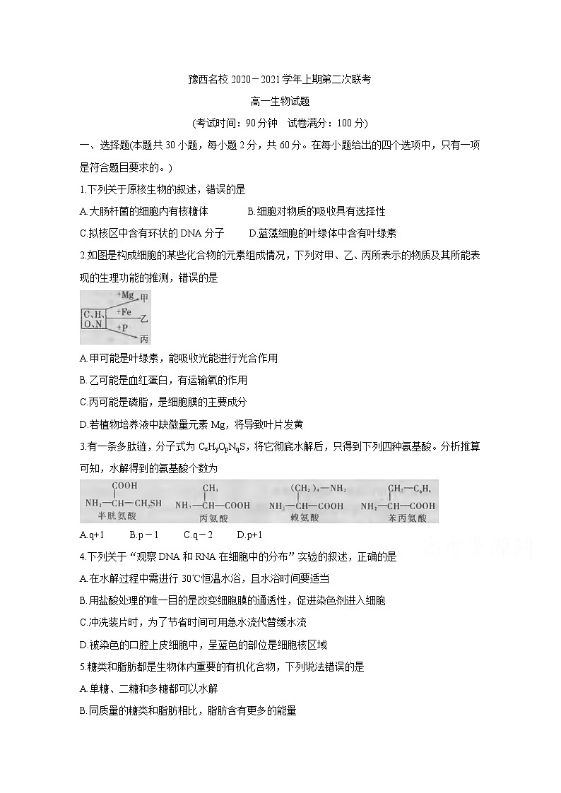 2021河南省豫西名校高一上学期第二次联考生物含答案第1页
