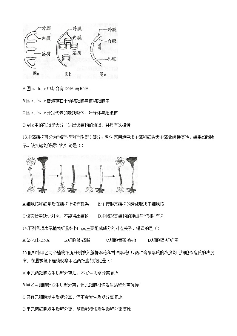 2021天津东丽区高一上学期期末考试生物试题含答案03
