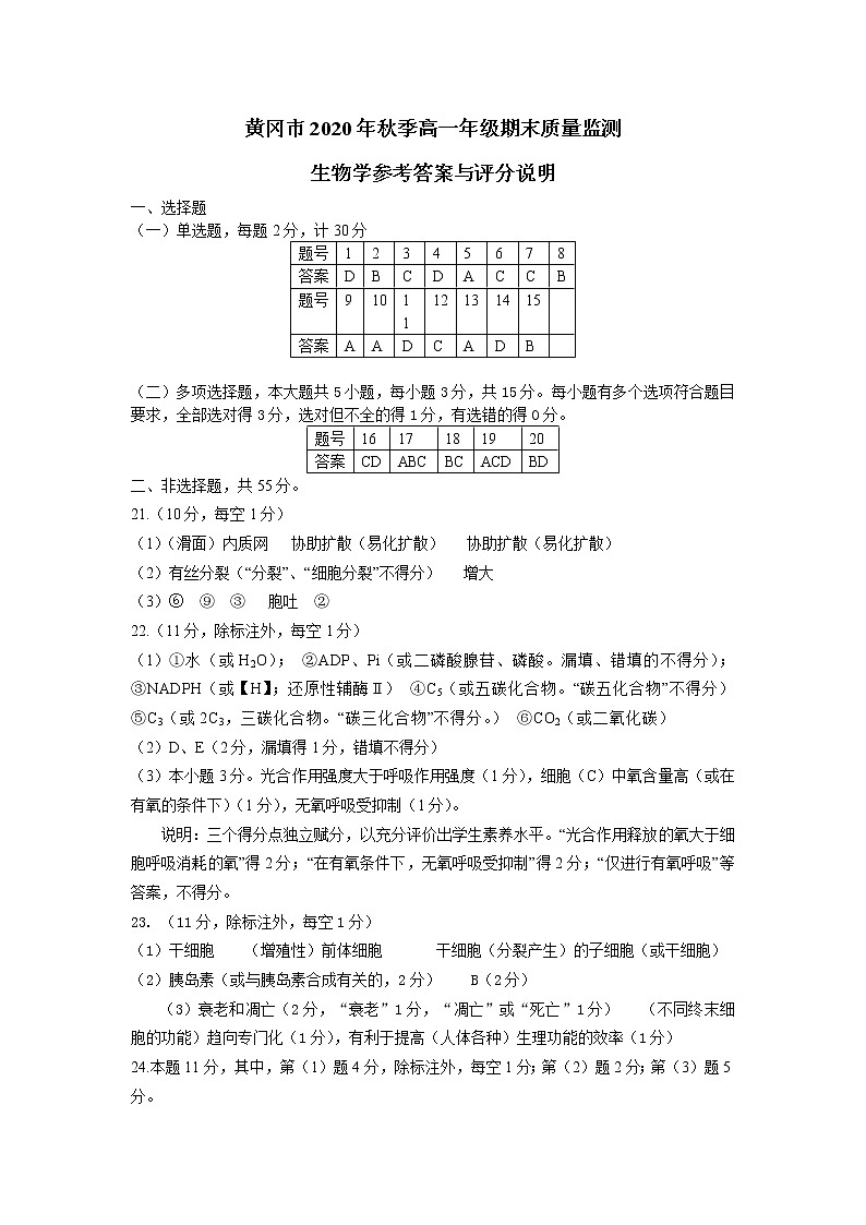 湖北省黄冈市2020-2021学年高一上学期期末考试生物答案第1页