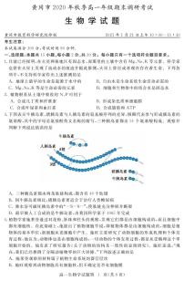 2021黄冈高一上学期期末考试生物试题（可编辑）PDF版含答案