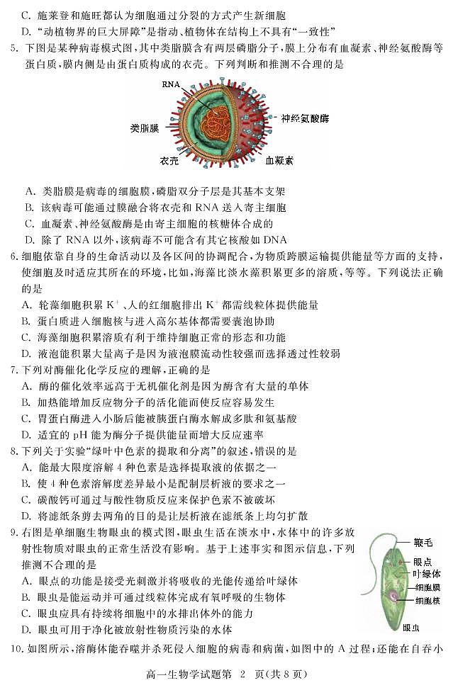 湖北省黄冈市2020-2021学年高一上学期期末考试生物试题第2页