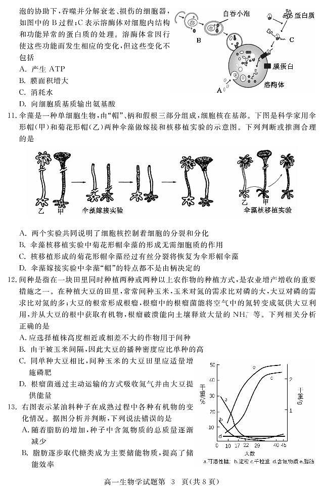 湖北省黄冈市2020-2021学年高一上学期期末考试生物试题第3页