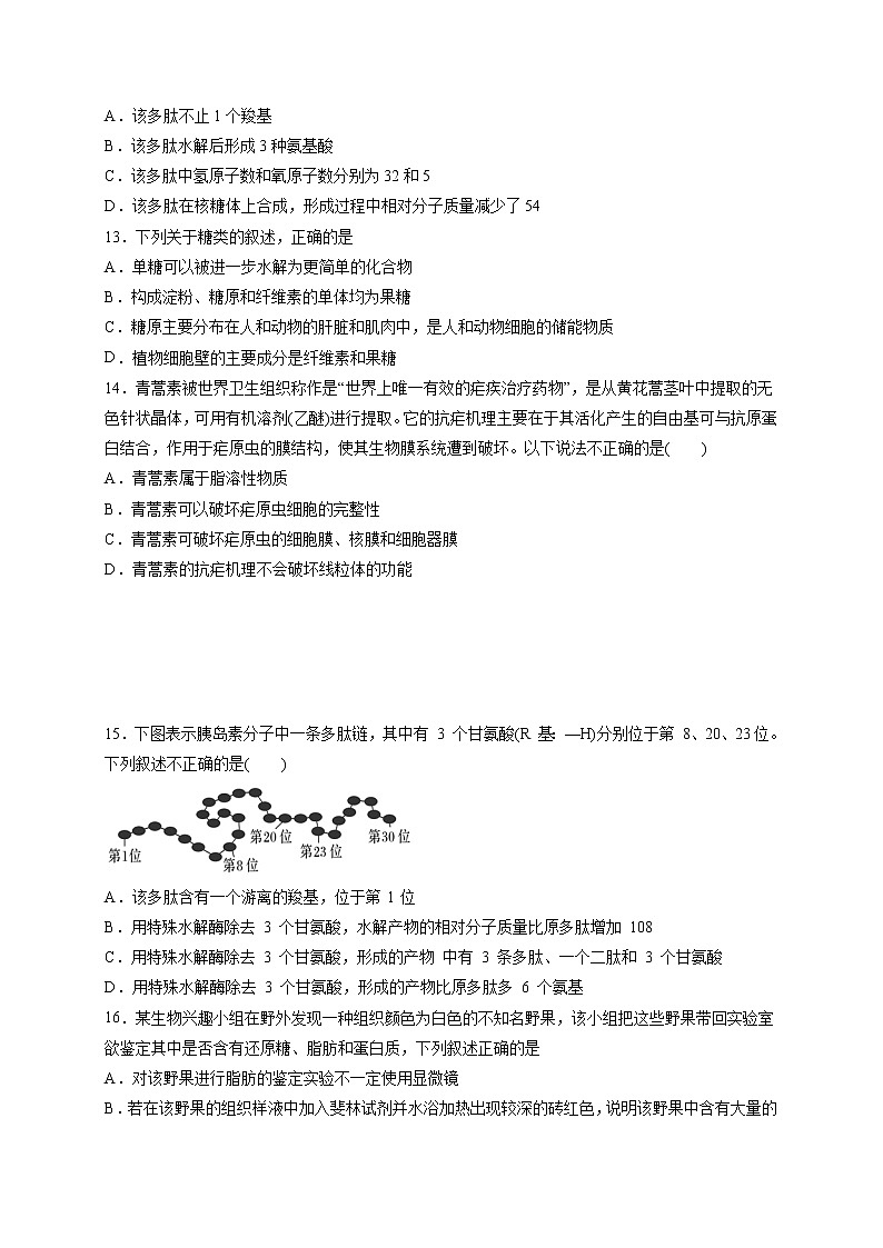 2020南昌外国语学校高一上学期期末考试生物试题含答案03