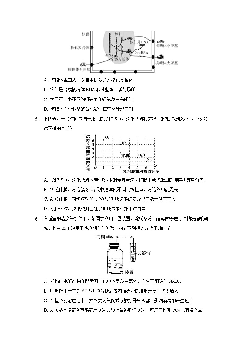 2021重庆市缙云教育联盟高一上学期期末考试生物试题含答案03