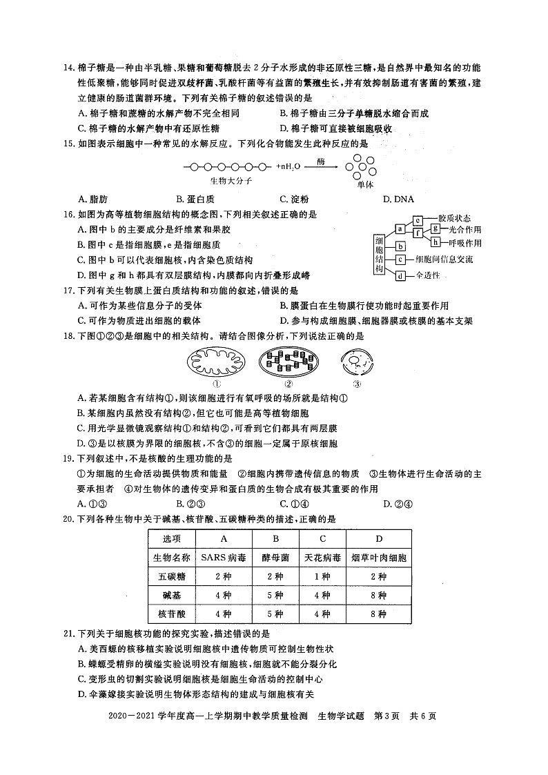 河南省信阳市2020-2021学年度高一上学期期中教学质量检测——生物第3页