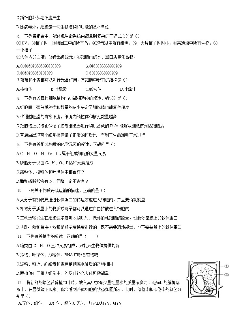 2021四川省峨眉二中高一上学期12月考试生物试题含答案02