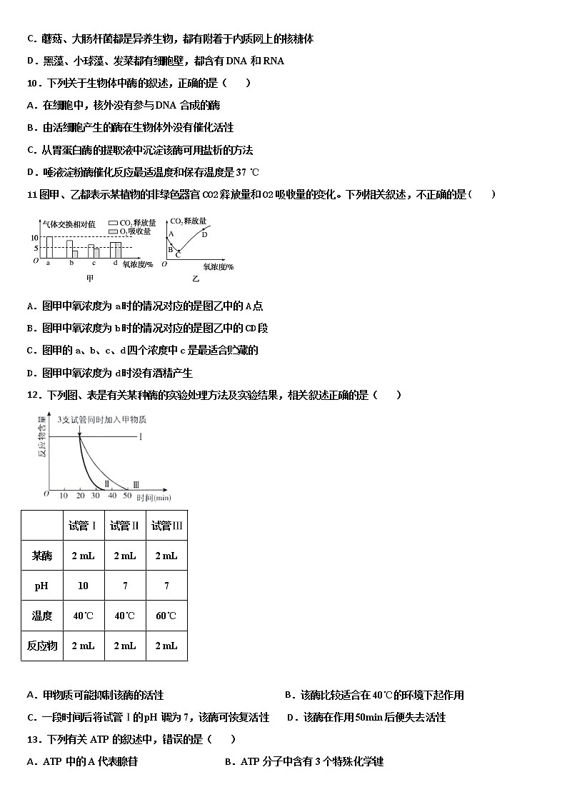 2021邢台巨鹿中学高一上学期第三次月考生物试卷含答案03