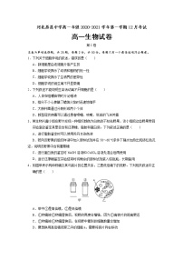 2021易县中学高一12月月考生物试题含答案