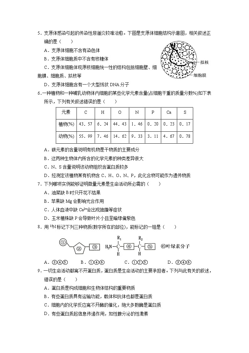 2021易县中学高一12月月考生物试题含答案第2页