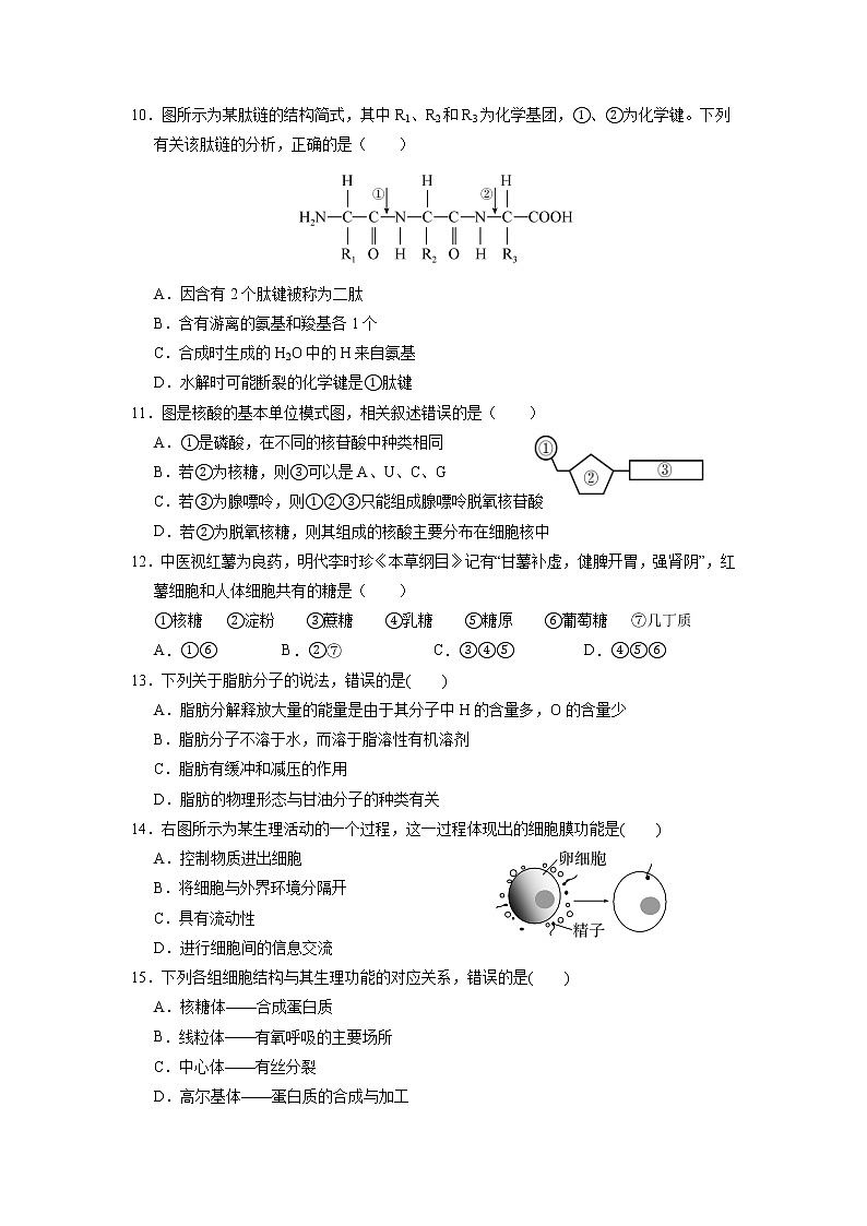 2021易县中学高一12月月考生物试题含答案第3页