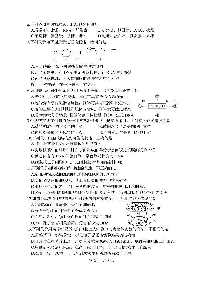 2021绵阳南山中学高一上学期12月月考试题生物PDF版含答案（可编辑）02