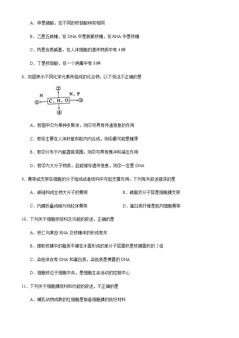 2021绵阳南山中学高一上学期12月月考生物试题含答案03