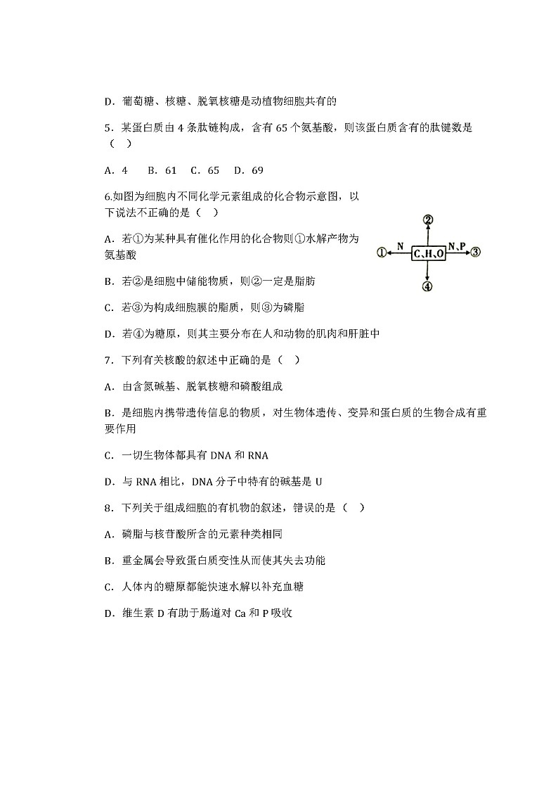 2021仁寿县文宫中学高一12月月考生物试题扫描版含答案02