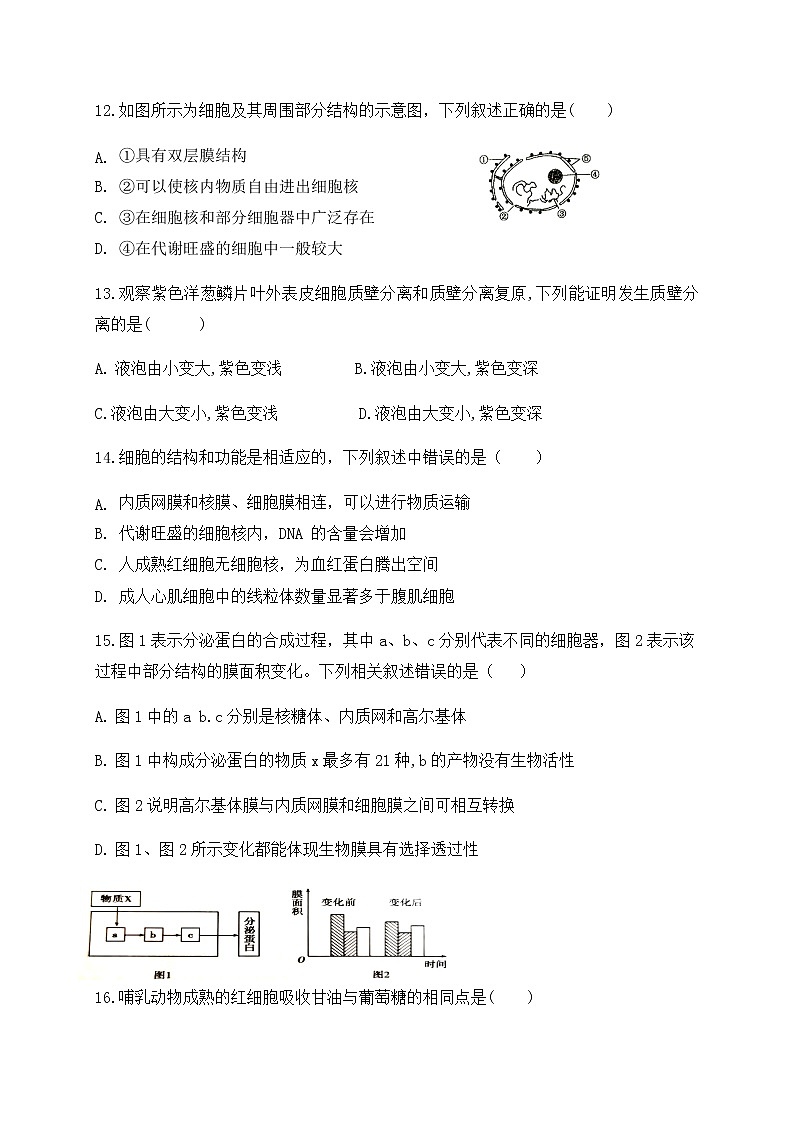 2021省哈尔滨延寿县二中高一11月月考生物试题缺答案03