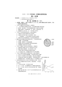 2021张家口高一上学期名校联考（期中）考试生物试题（扫描版）