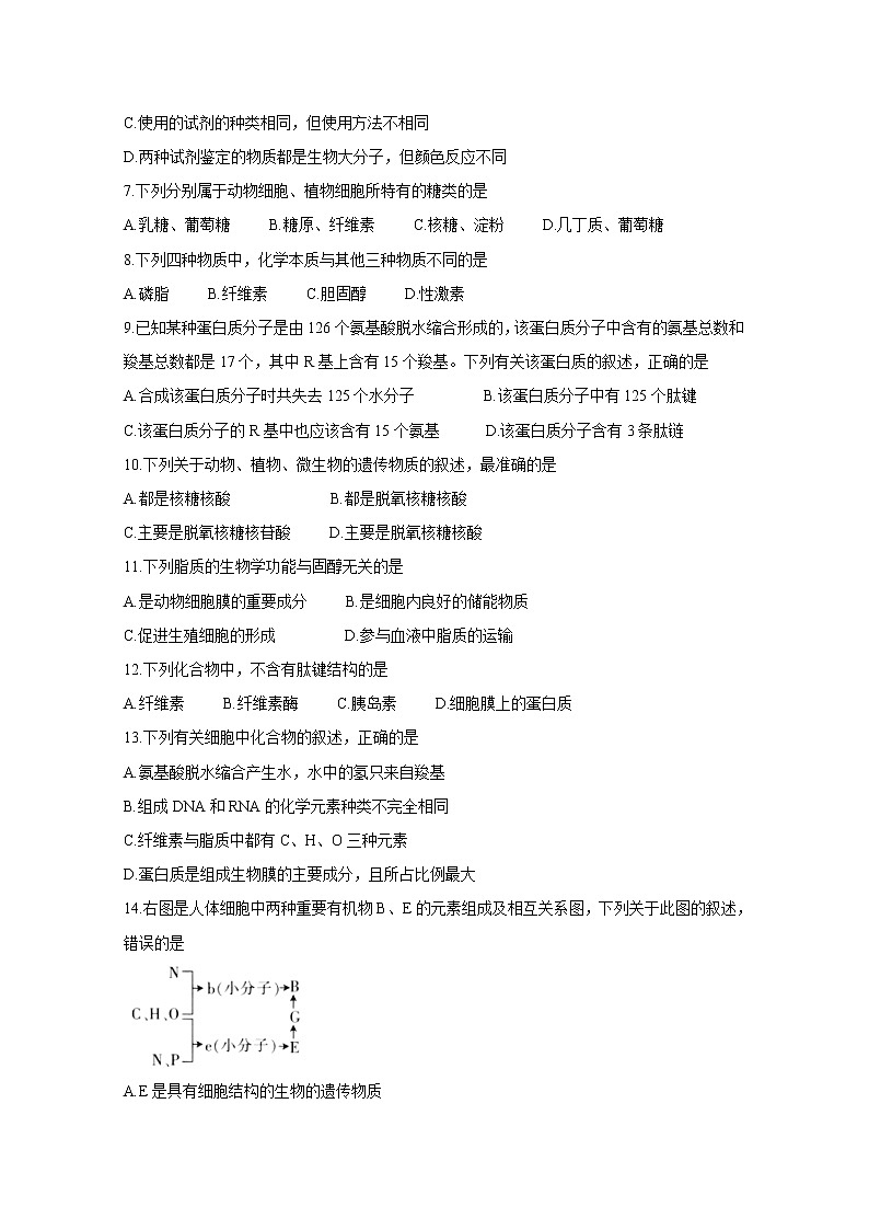 2021邵阳县高一上学期期中考试生物含答案02