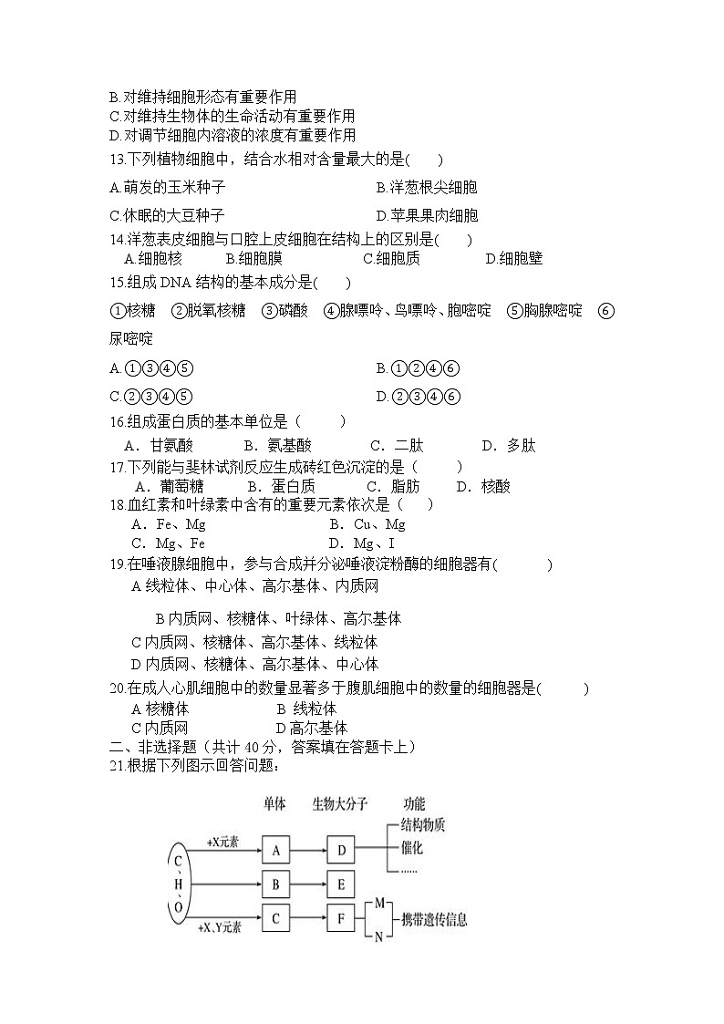 2021省哈尔滨第三十二中学高一上学期期中考试生物试题含答案第2页