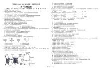 2021朝阳育英高考补习学校高一上学期期中考试生物试题PDF版含答案