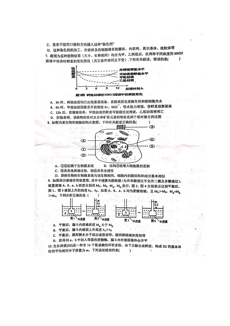 2021江西省万年中学高一上学期期中考试生物试卷图片版含答案02