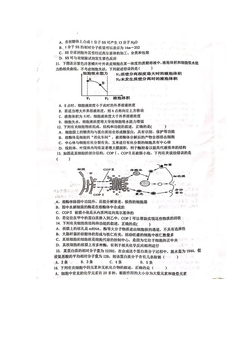 2021江西省万年中学高一上学期期中考试生物试卷图片版含答案03