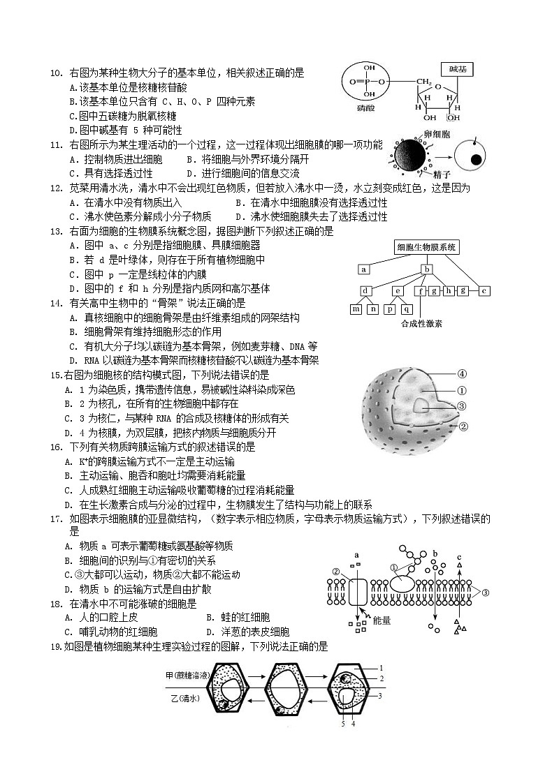 2021镇江正兴学校高一上学期期中考试生物试卷含答案02