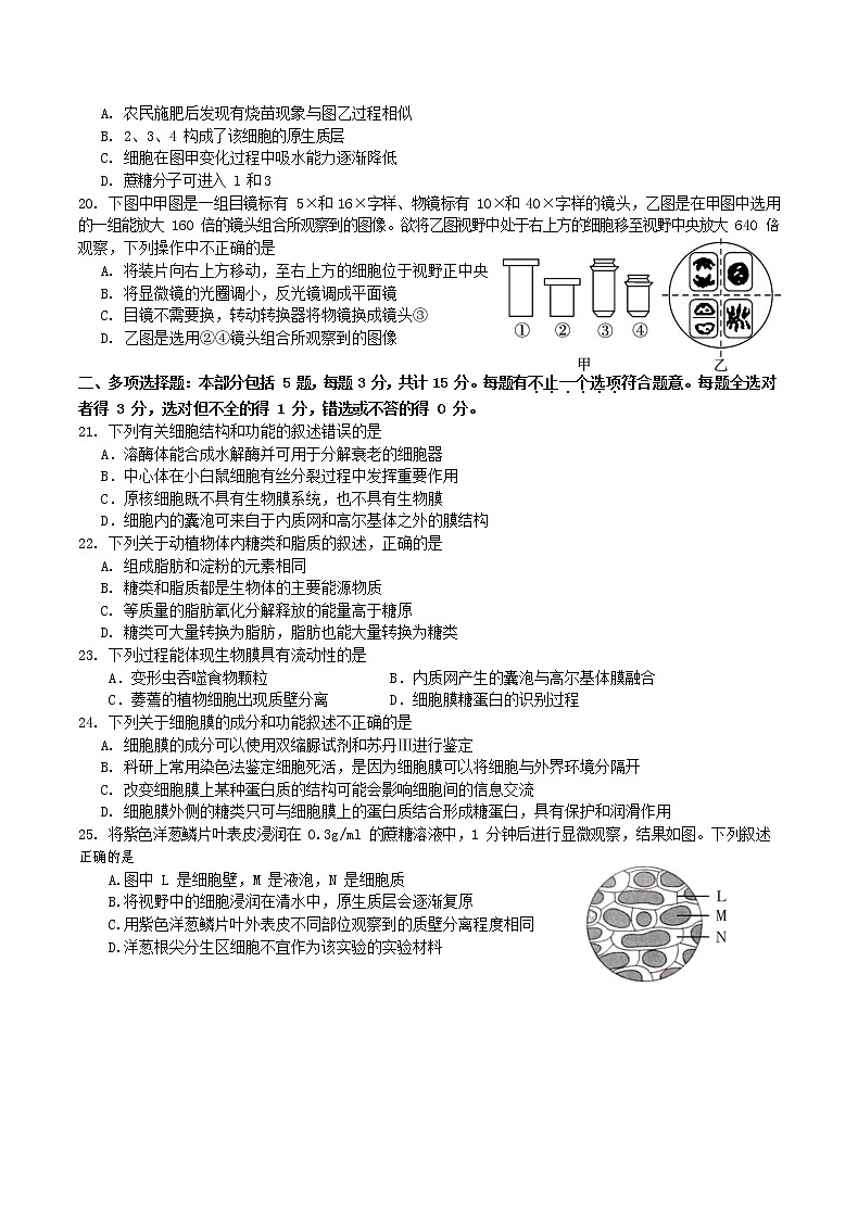 2021镇江正兴学校高一上学期期中考试生物试卷含答案03