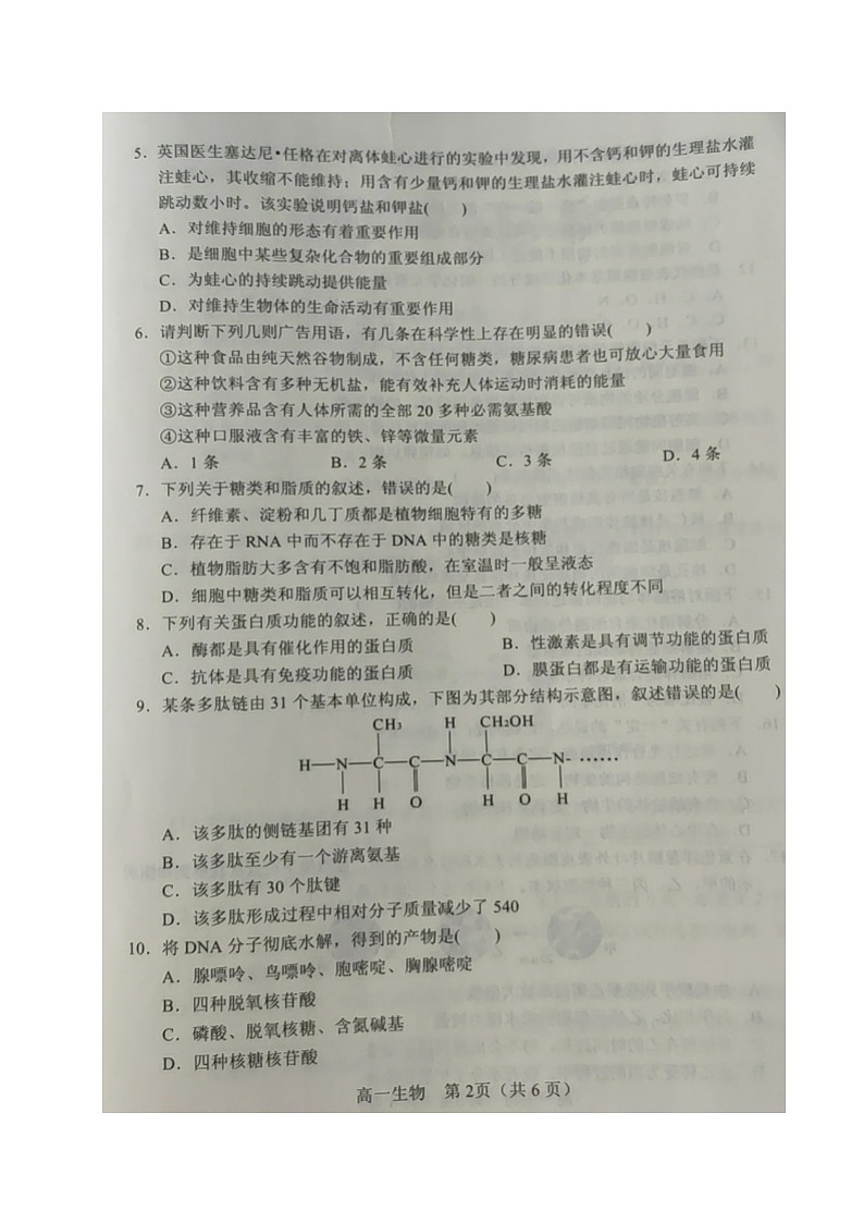 2021沈阳郊联体高一上学期期中考试生物试卷扫描版含答案第2页