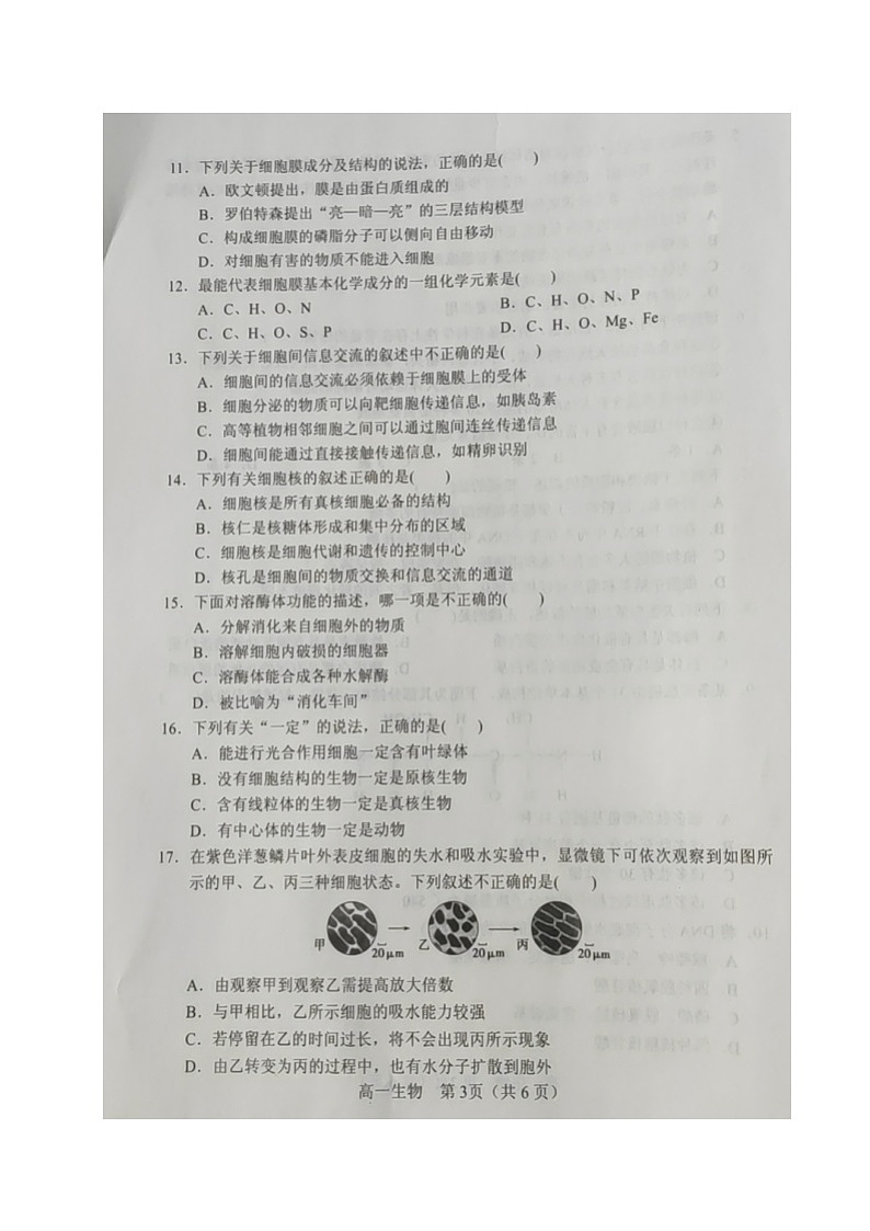 2021沈阳郊联体高一上学期期中考试生物试卷扫描版含答案第3页
