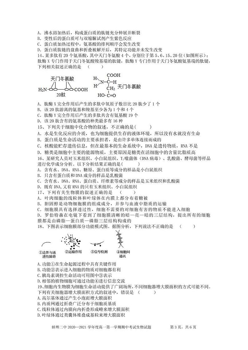 安徽省蚌埠市第二中学2020-2021学年高一上学期期中考试生物（理科）试题（PDF版）第3页