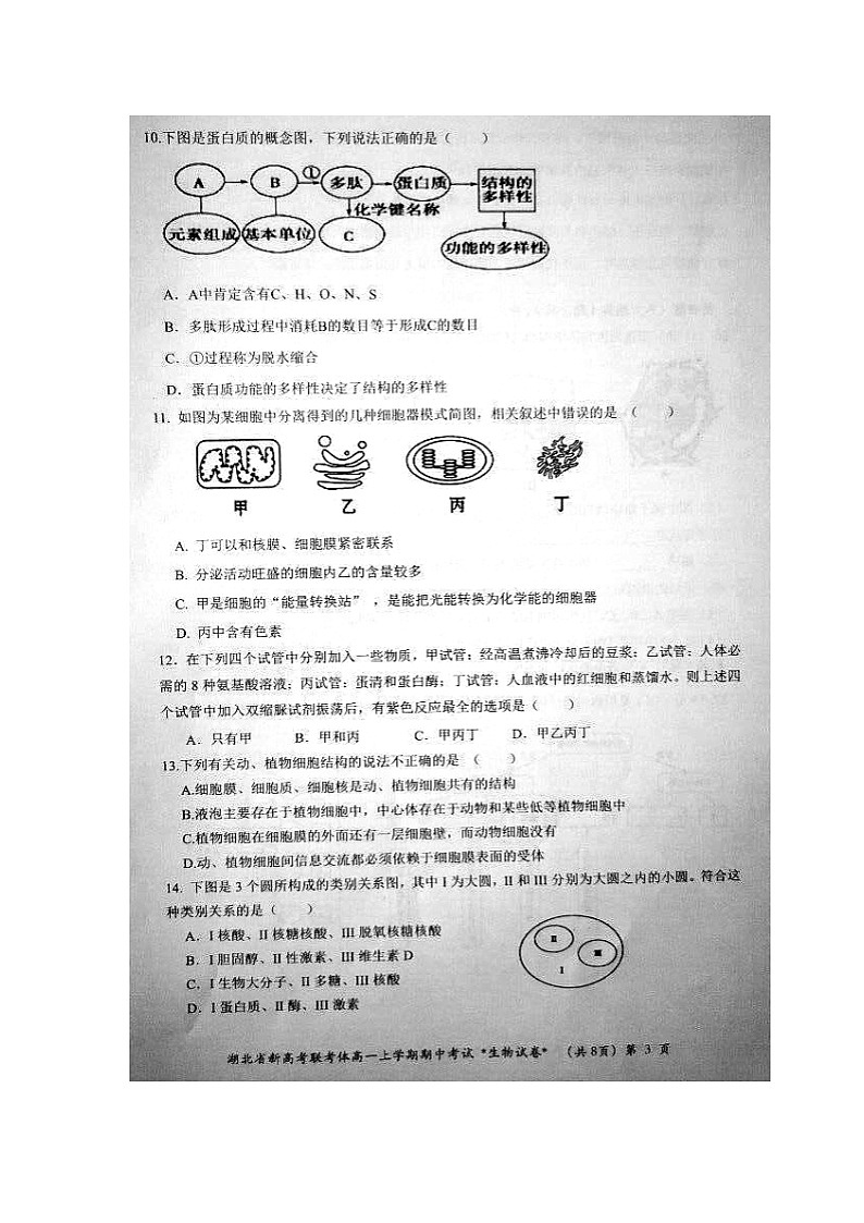 2021湖北省新高考联考协作体高一上学期期中考试生物试题图片版含答案第3页