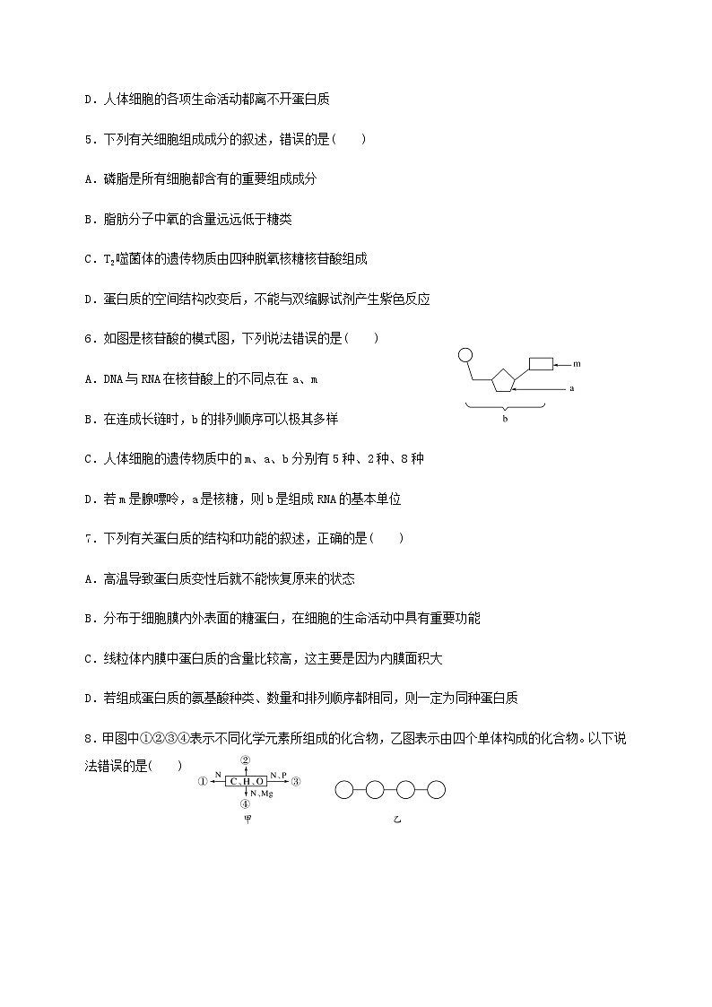 2021山东师大附中高一11月学分认定考试（期中）生物试题含答案02