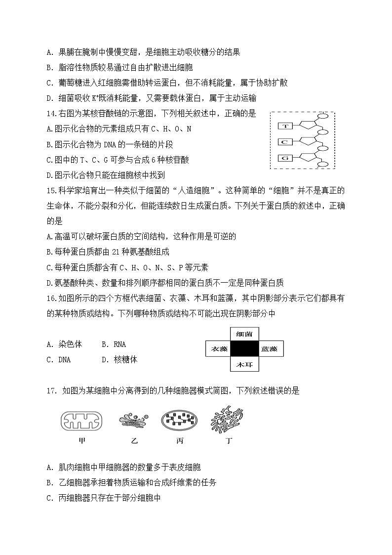2021盐城响水中学高一上学期期中考试生物试题含答案03