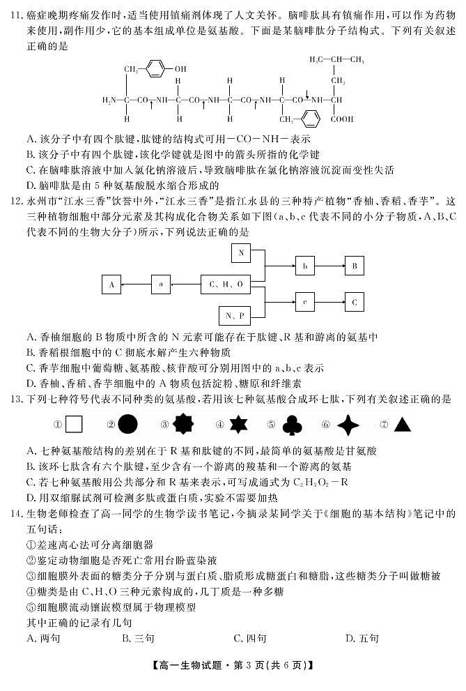 2020湖南省三湘名校教育联盟-高一上学期期中考试生物PDF版含答案03