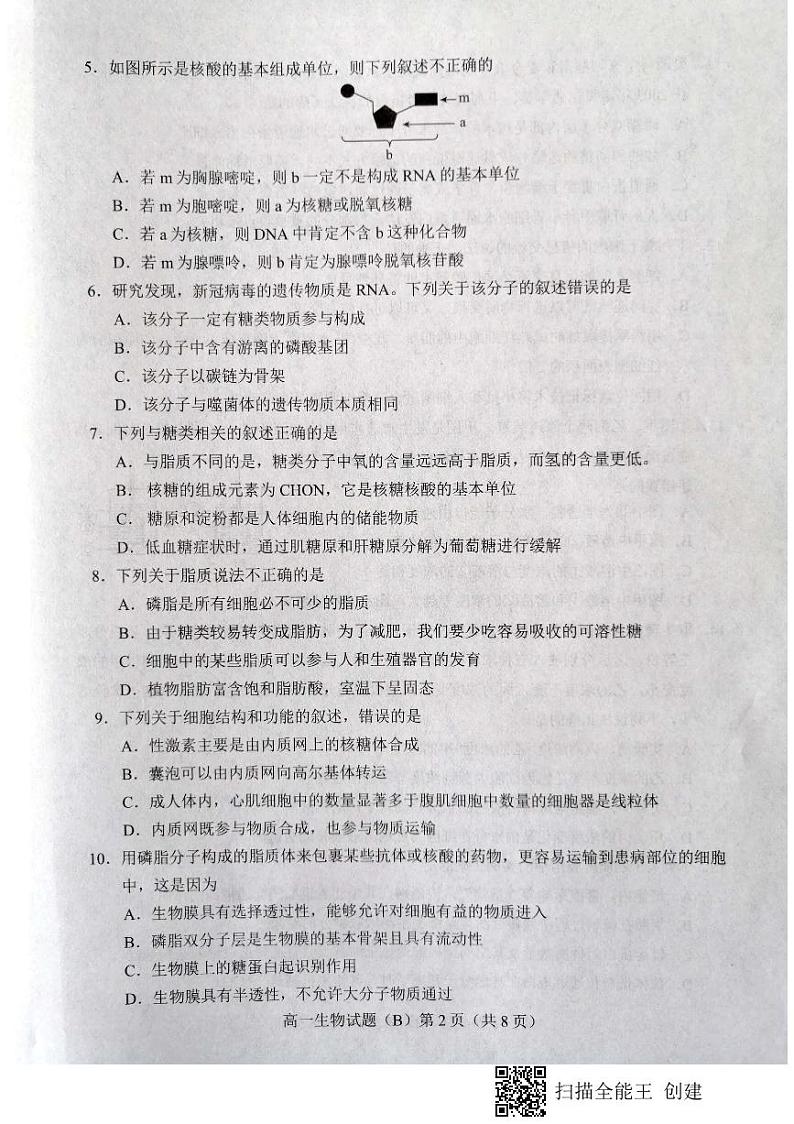 山东省菏泽市2020-2021学年高一上学期期中考试生物试题（B）（扫描版）第2页