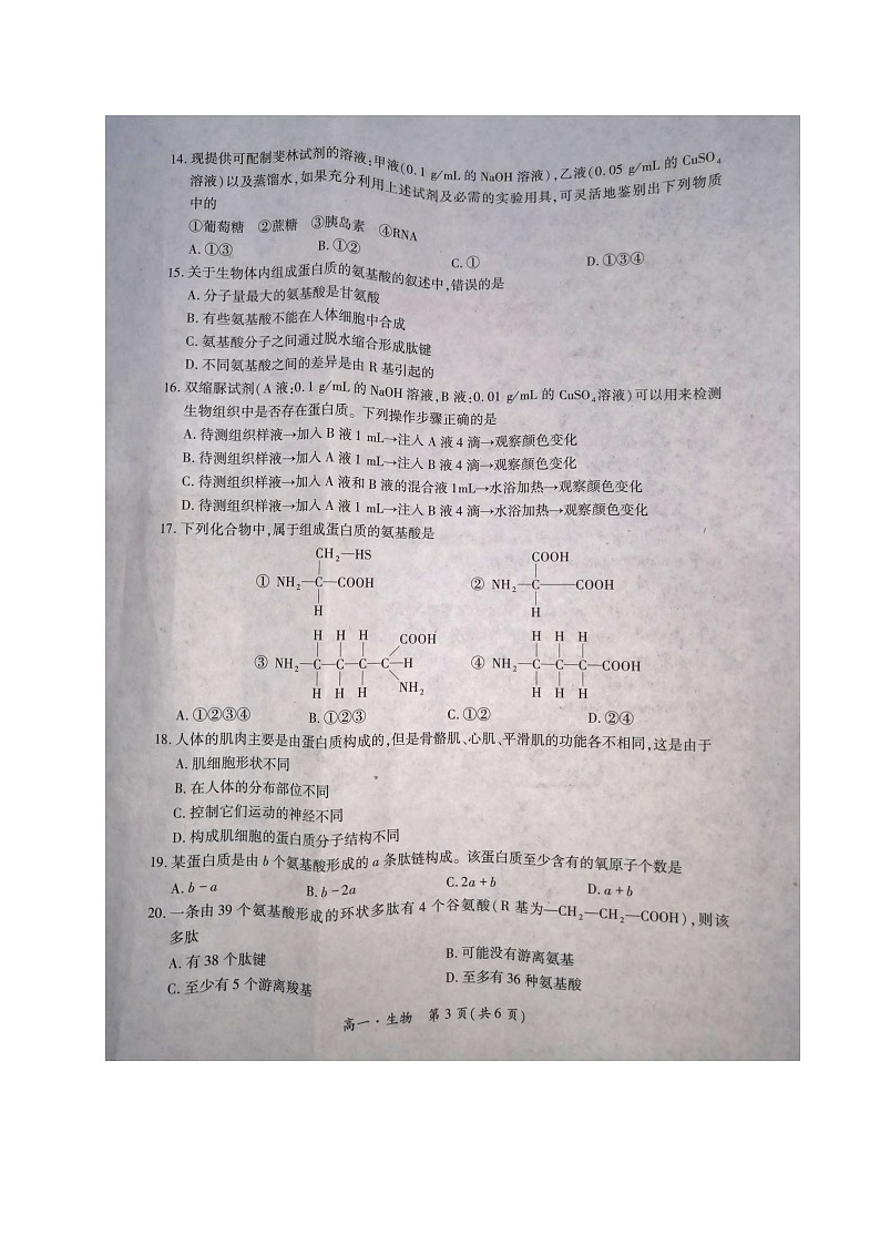 2021驻马店高一上学期11校期中联考（环际大联考）生物试卷图片版含答案02