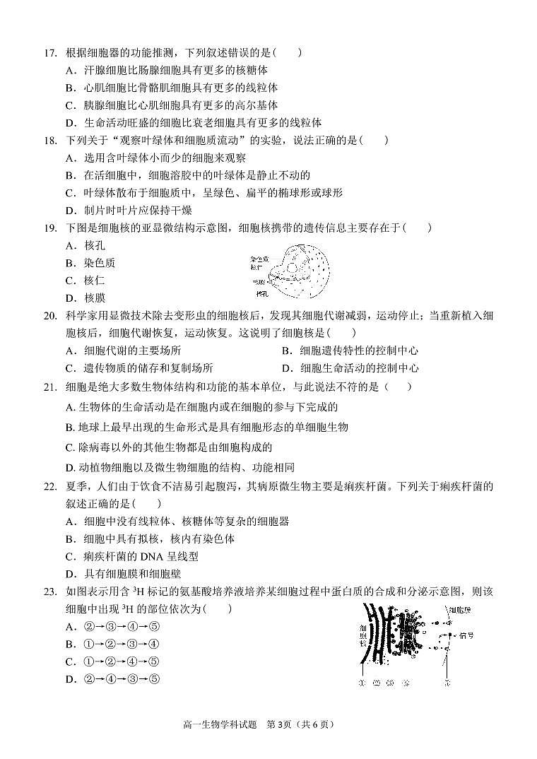 2021温州新力量联盟高一上学期期中联考生物试题PDF版含答案03