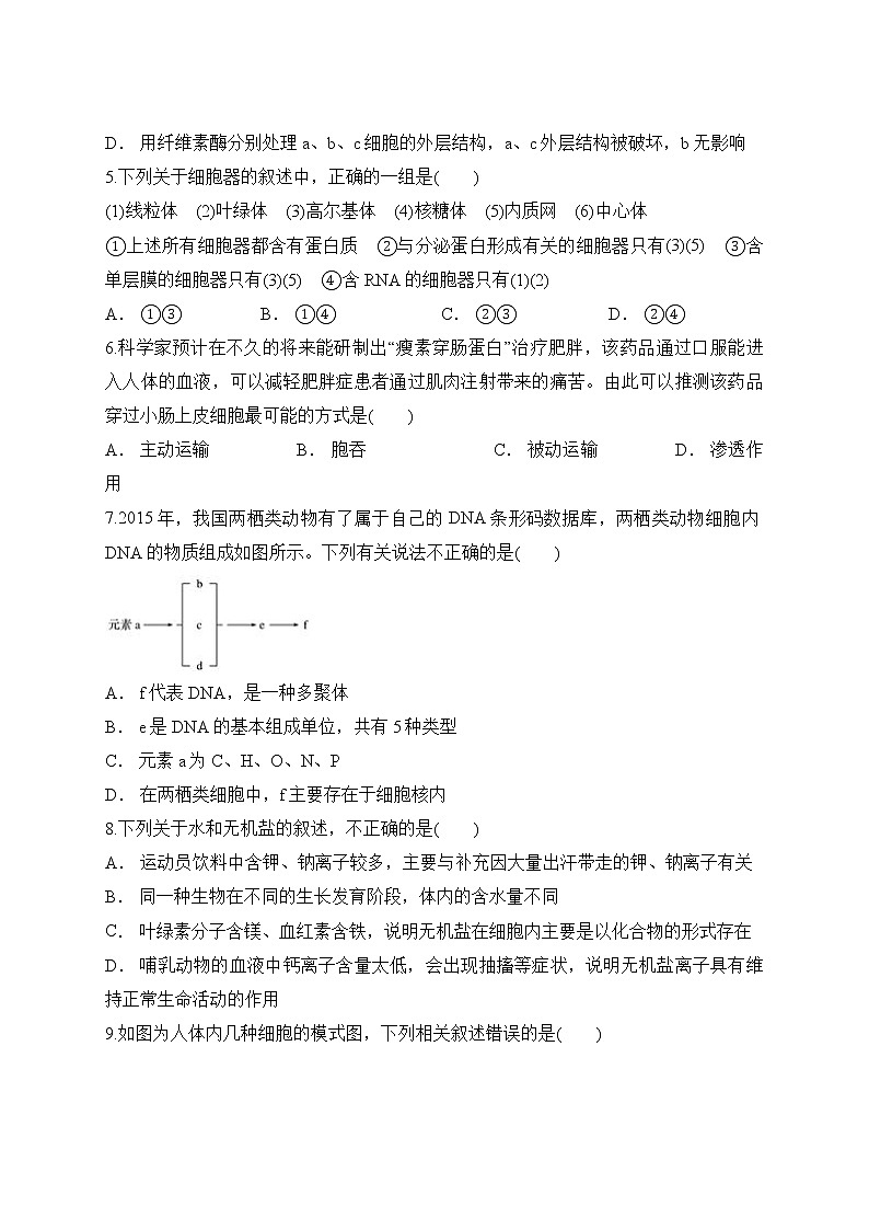2021滁州定远县重点中学高一10月月考生物试题含答案第2页