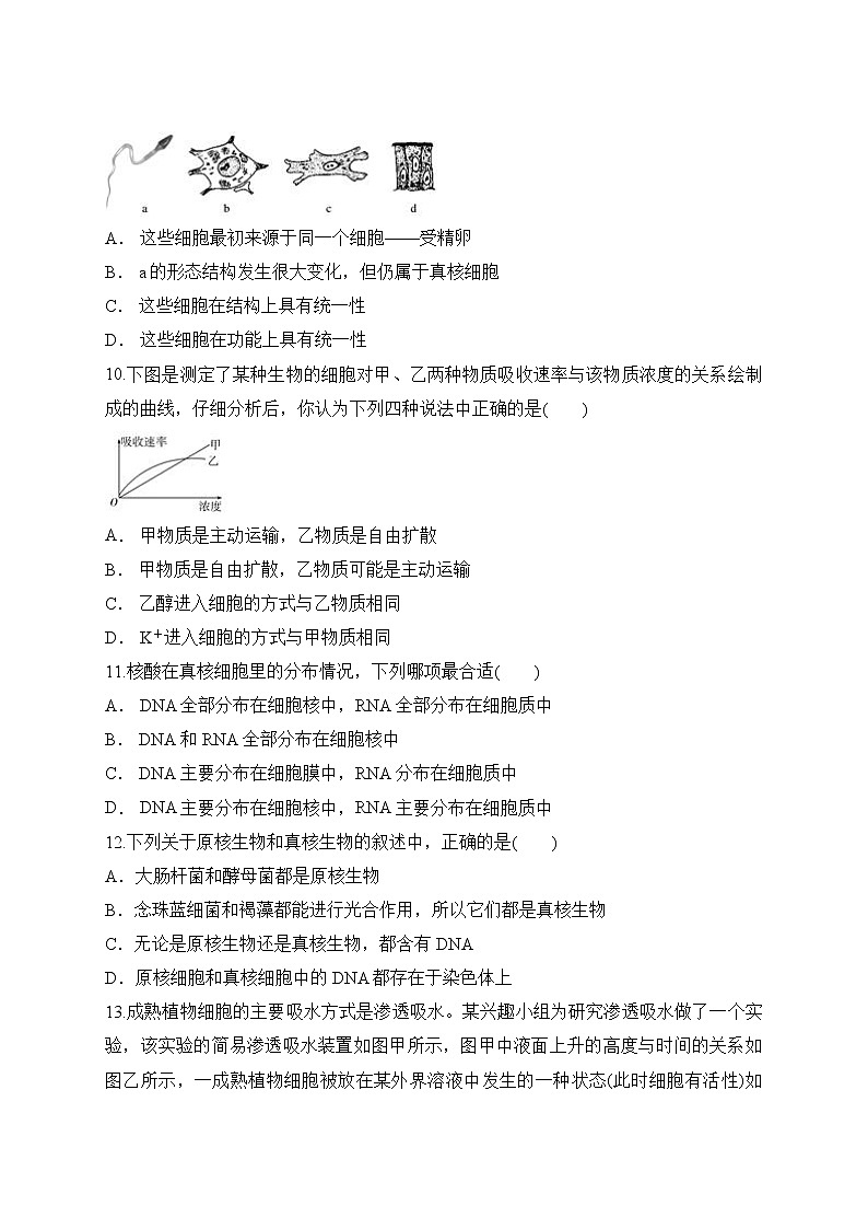 2021滁州定远县重点中学高一10月月考生物试题含答案第3页